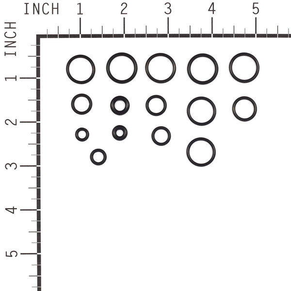 Briggs & Stratton 200346GS O-Ring Kit - Briggs & Stratton Online Store
