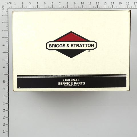 Briggs & Stratton 311966GS PUMP