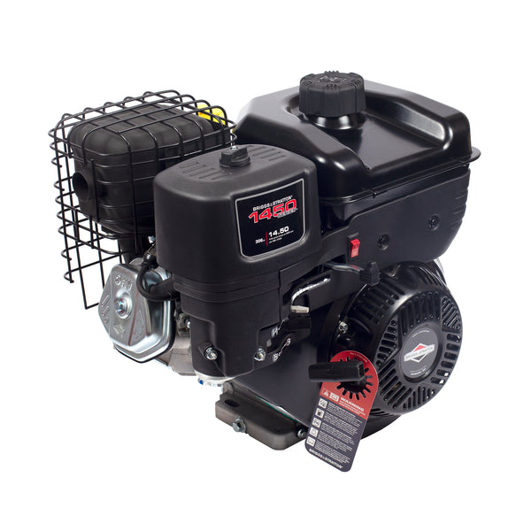 Briggs & Stratton Online Store 19N132-0051-F1 Briggs and Stratton XR ...