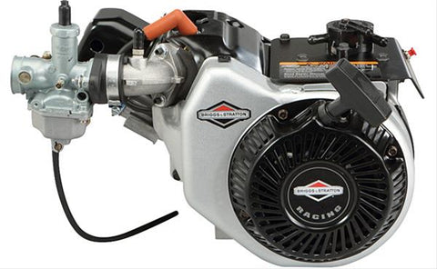 Briggs & Stratton 124335-8106W World Formula 11.5 HP 204cc Horizontal Shaft Engine