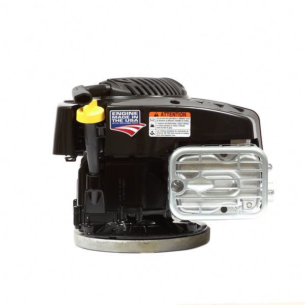 Briggs and best sale stratton 163cc