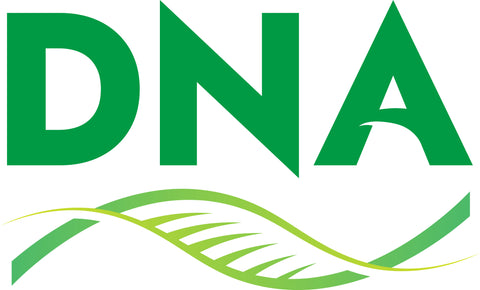 Daye 2109800292A DRIVE CABLE ASSEMBLY